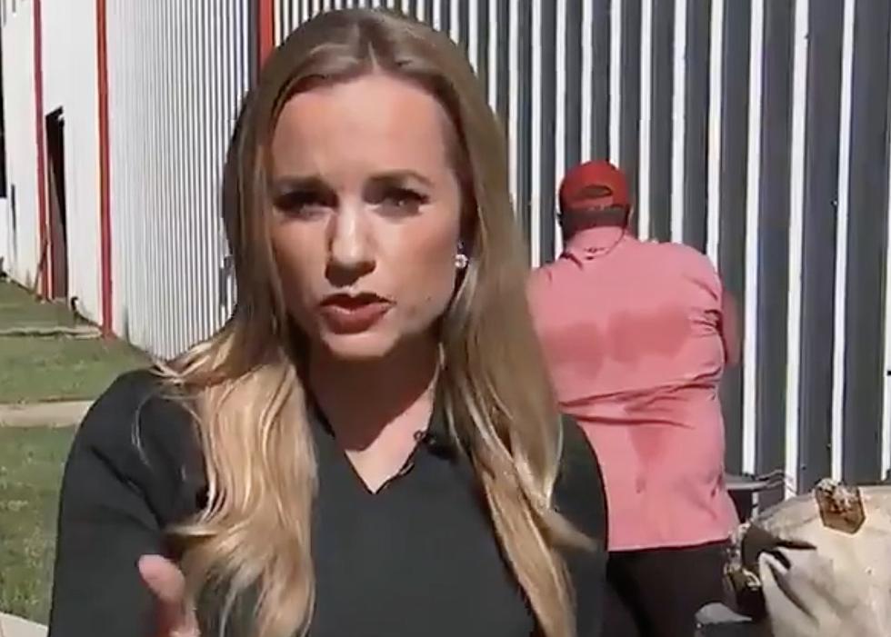 Fox 26 Reporter in Houston Says She Will Expose Company She Works For [VIDEO]