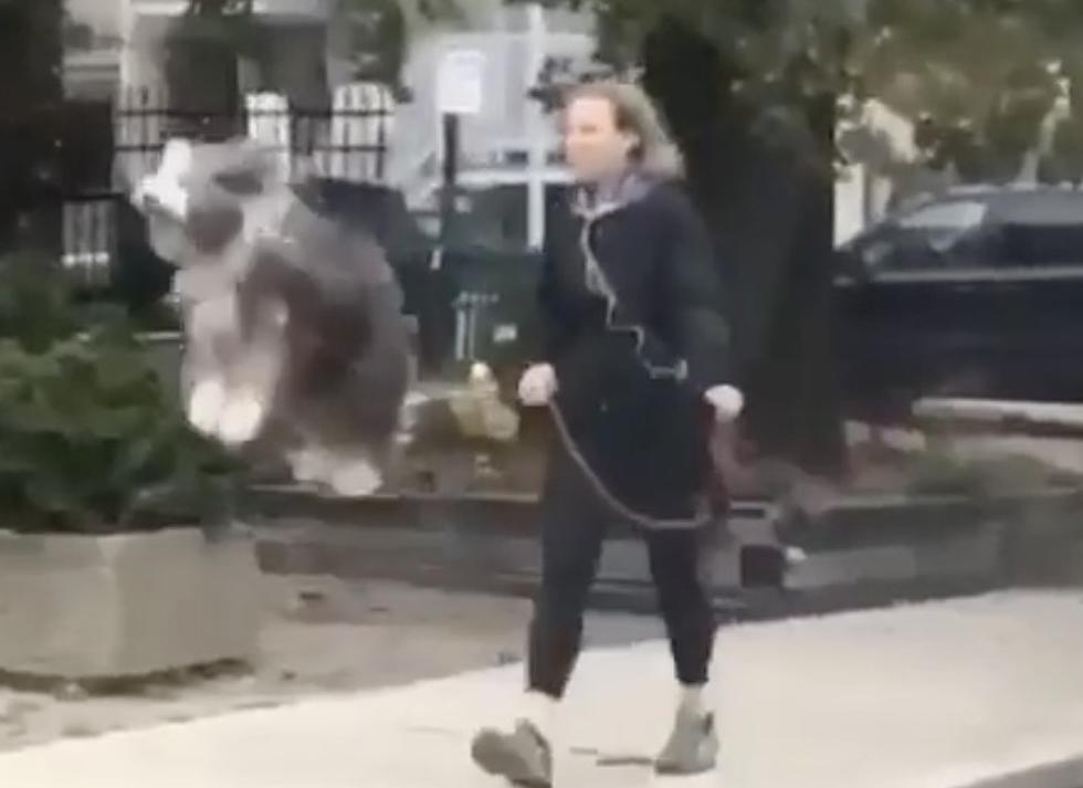 Watch As Dog Hilariously Hops During Walk With Owner [VIDEO]