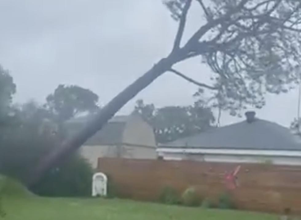 Viral Photos & Videos Show Catastrophic Damage From Hurricane Ida
