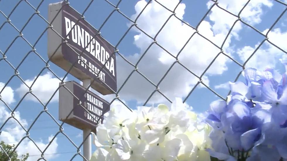 Families Mourn Losses After 75 Dogs Die In Texas Pet-Boarding Facility Fire