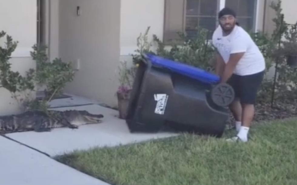 Man Catches an Alligator in a Trash Can