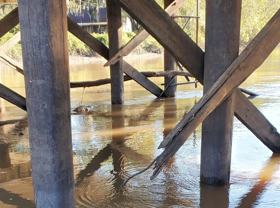 Louisiana DOTD Replaces Rotted Vermilion River Bridge Crossbeams on Lake Martin Road