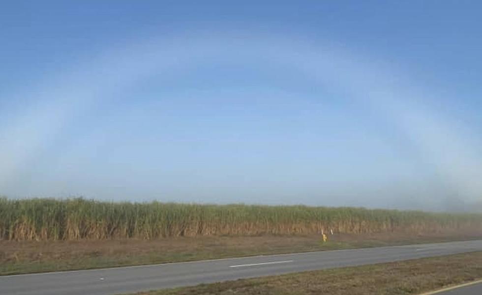 A Cool Weather Phenomena Spotted in South Louisiana [PHOTO]