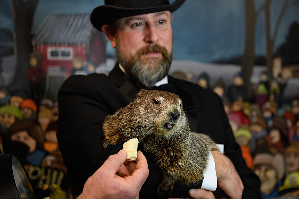 Group Wants to Cancel Punxsutawney Phil For ‘Groundhog Day’