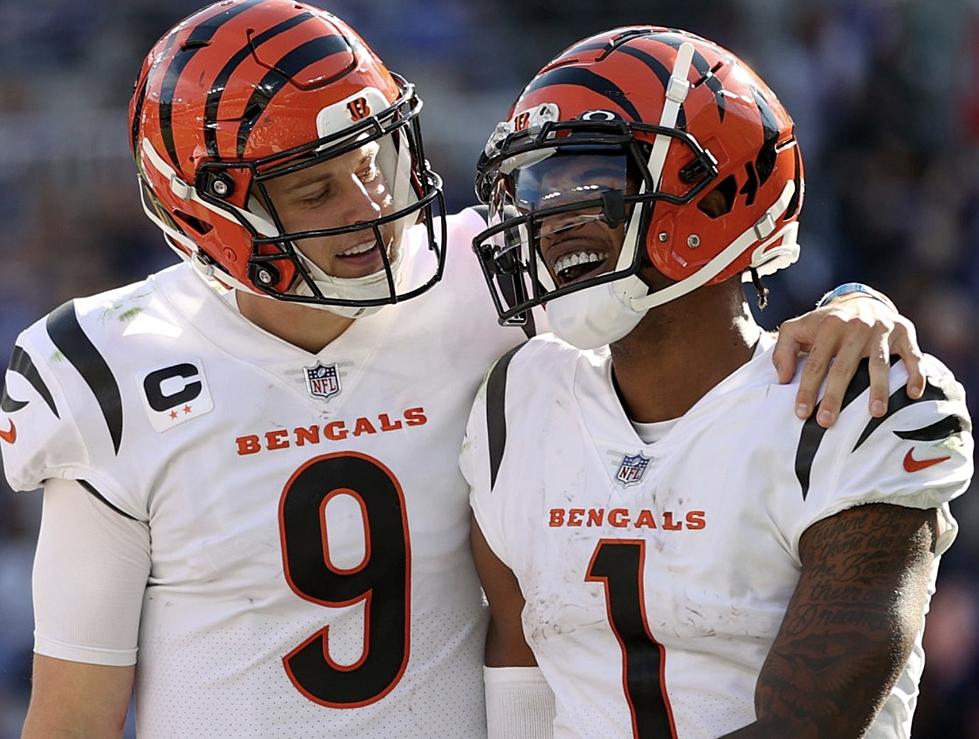 Baton Rouge Shows Support for The Cincinnati Bengals [PHOTO]