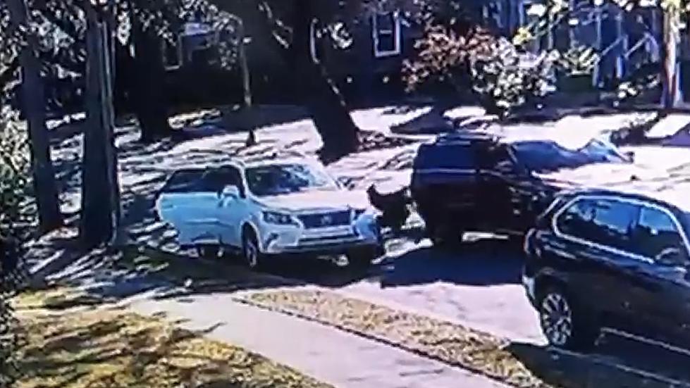 New Orleans Grandmother Carjacked in Broad Daylight After Picking Up 5-Year-Old from School