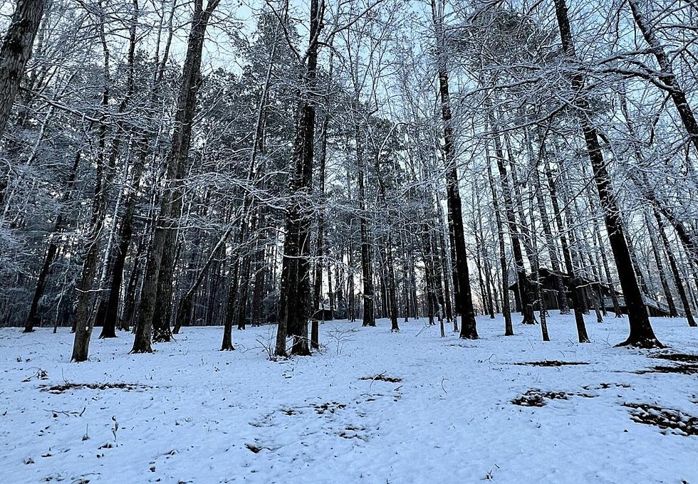 Snow Blankets Most of North Louisiana to Start Weekend [VIDEO]