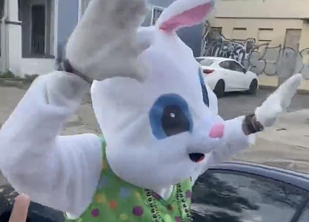 Easter Bunny Runs in New Orleans Crescent City Classic [VIDEO]
