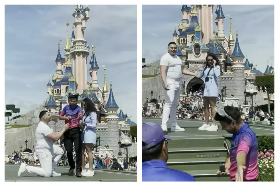 Internet has Mixed Reactions after Amusement Park Employee Abruptly Ends Magical Proposal
