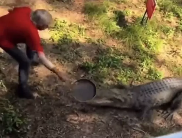 Florida Man Defends Self Against Alligator By Using Cast Iron Skillet [VIDEO]