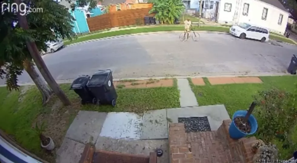 Video Shows Man Shooting Gun in the Middle of Street in NOLA