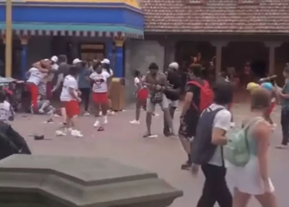 Large Brawl Breaks Out Between Two Families At Disney World [VIDEO]