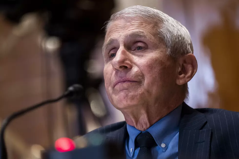 Lafayette Residents React to Anthony Fauci Claims Masks Work on ‘Individual Basis’ With New COVID Strain