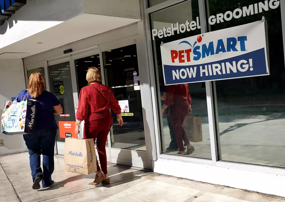ZipRecruiter Posts Pet Bather-Groomer Job Listing for $6,000 Weekly Salary in Lafayette, LA