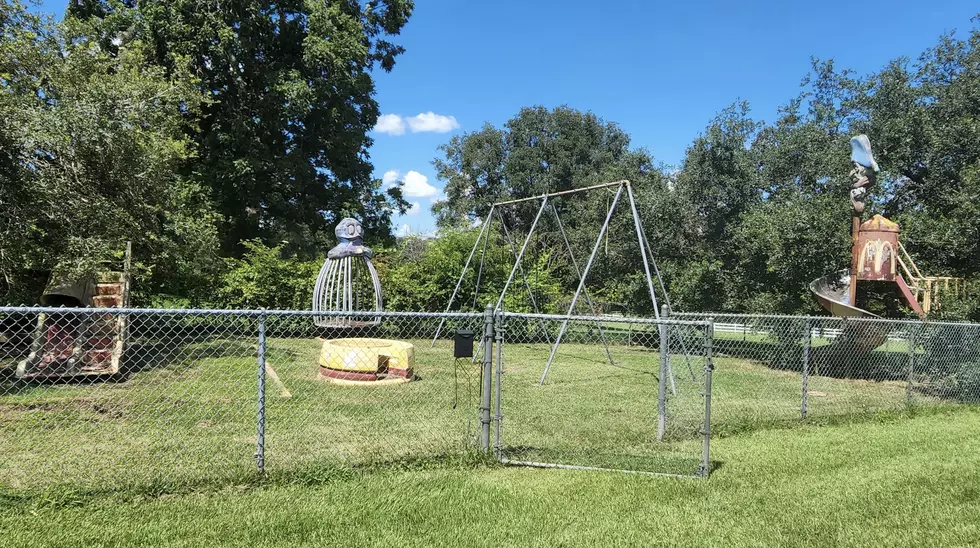 This Lafayette Backyard Features a Full McDonaldland Playground