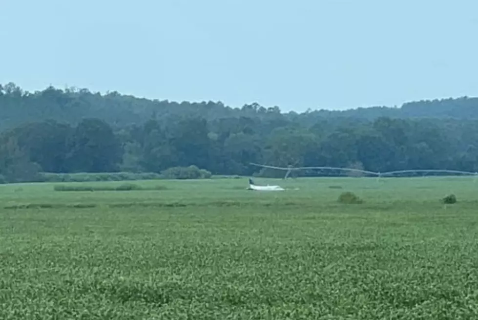 Stolen Plane Lands Safely, Pilot in Custody after Threatening Tupelo Walmart and Circling Mississippi for Hours