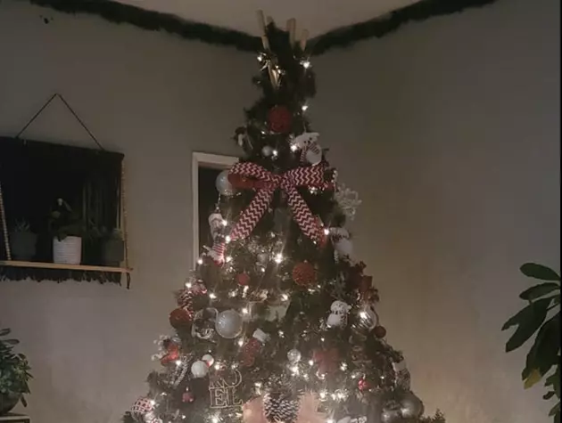 Internet Freaks Out and Now Wants Own &#8216;Tepee Christmas Tree&#8217; [PHOTO]