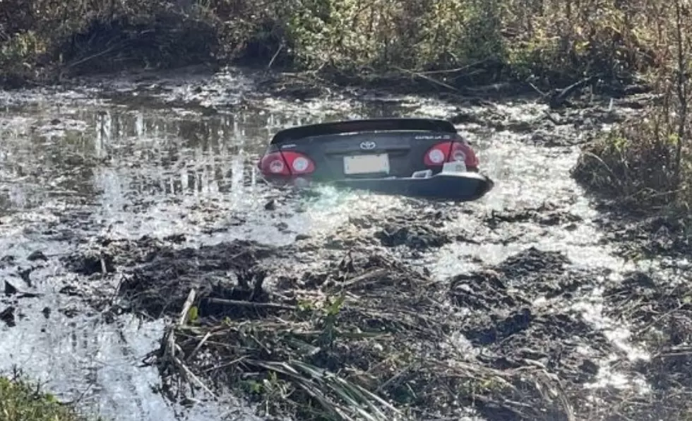 Louisiana Man Saves Family From Drowning After Crash
