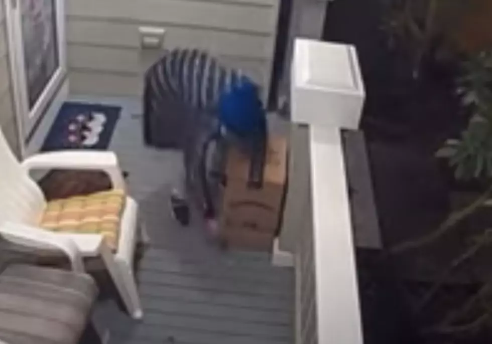Instant Karma Strikes ‘Porch Pirate’ as They Attempt to Steal Package [VIDEO]