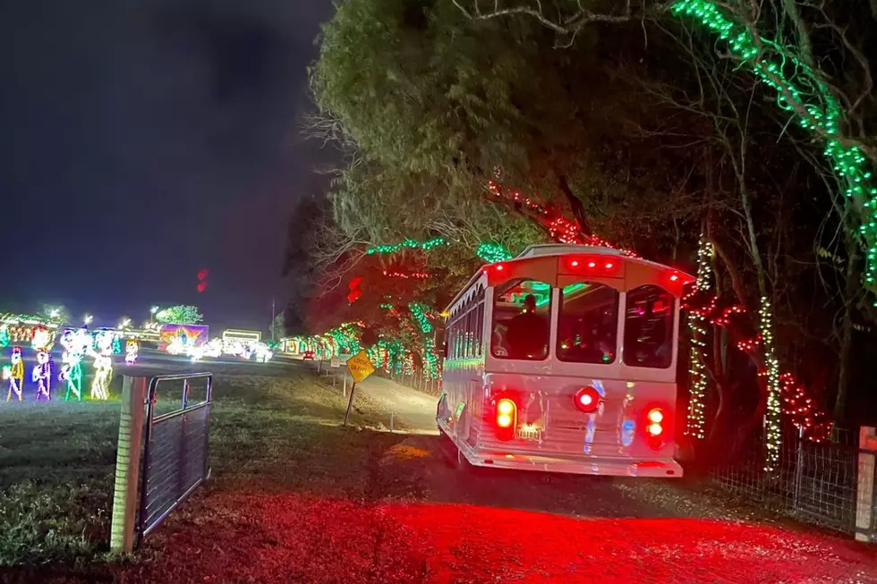 Christmas at Bridge Point Drive-Through Evening Light Display Closed for 2022 Season