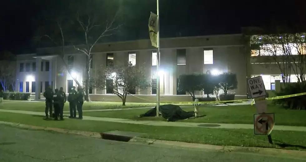 Police Investigating Suspicious Incident After Horse Reportedly Collapses in Front of Southern Law Center