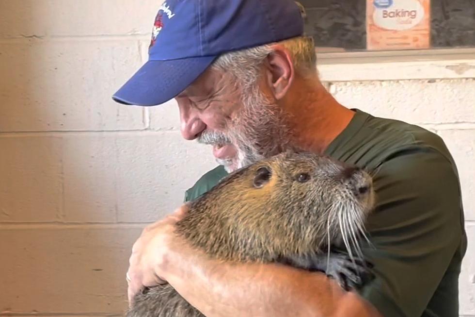 UPDATE: Beloved Pet Nutria Allowed to Stay With Louisiana Family