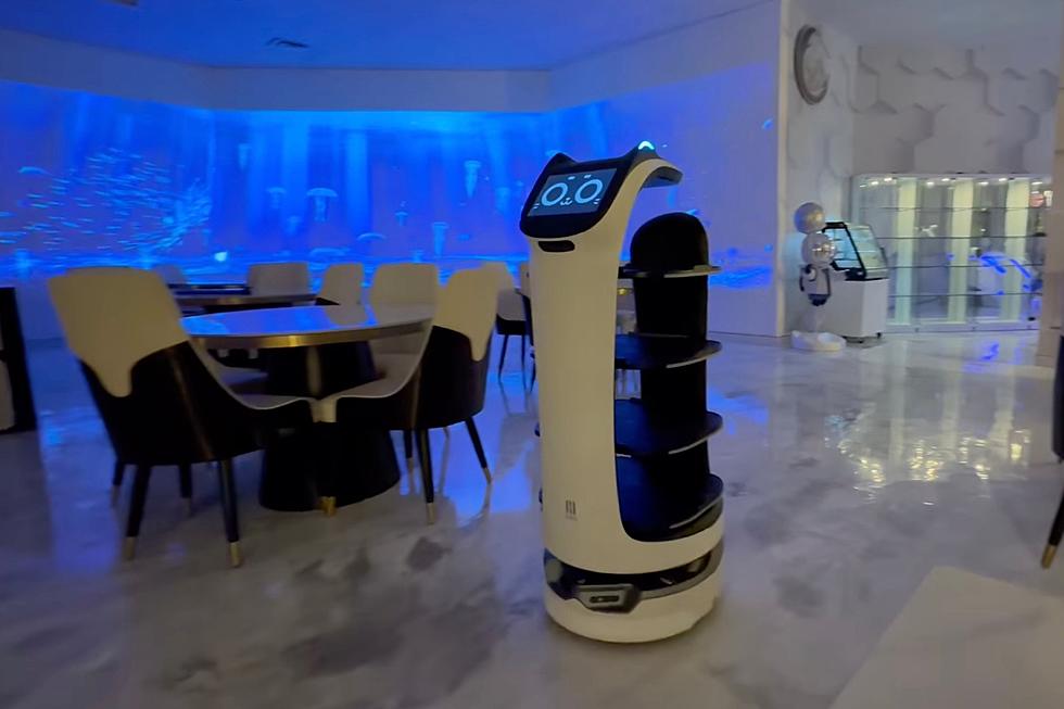 New Lafayette Restaurant to Feature Robots That Assist Servers