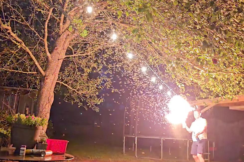 'Termite Terminator' Uses Blow Torch to Exterminate Insect Swarm