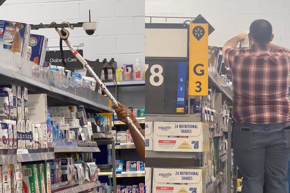 Shocking Discovery: Snake Found Coiled Around Camera in Crowley, Louisiana Walmart