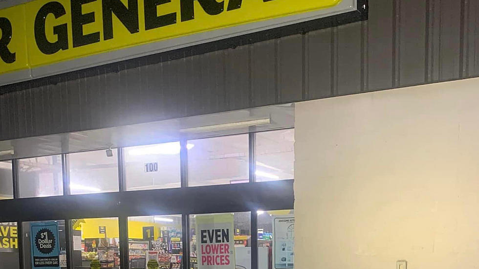 Dollar General Workers Shocked by Gator Waiting for Them to Open
