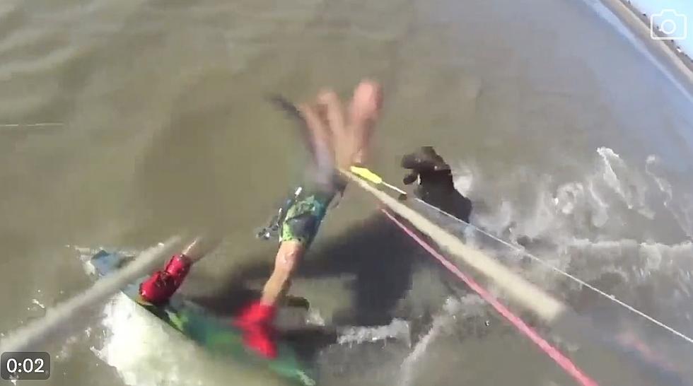 Viral Video of Pitbull Attacking Kite Surfer Resurfaces