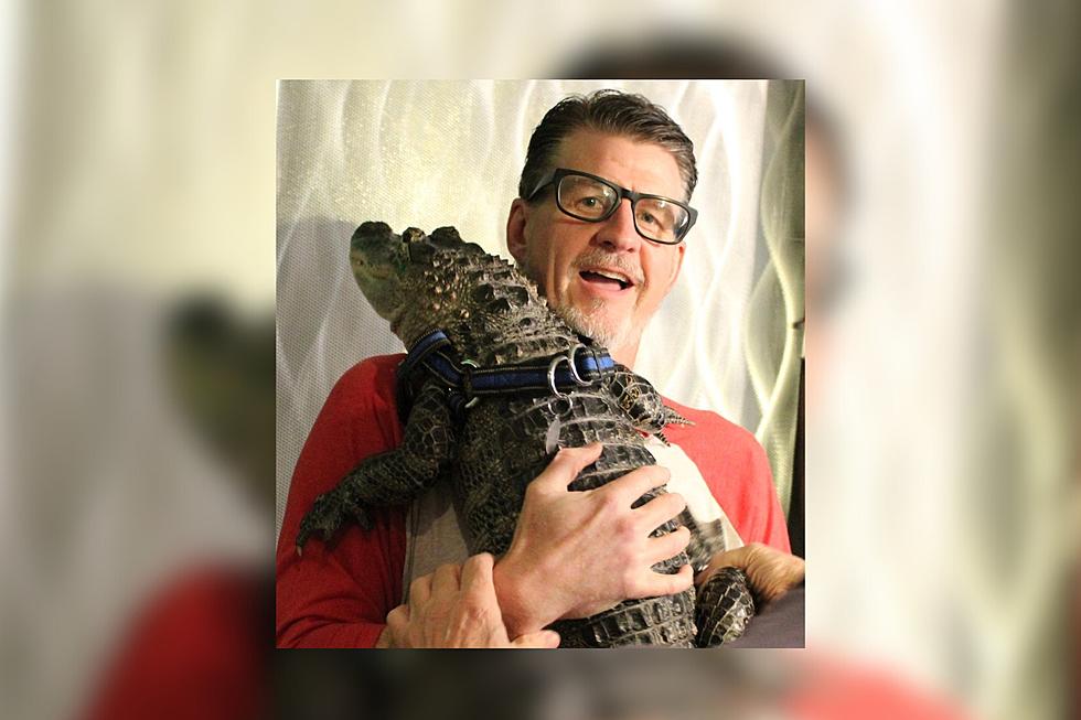 Can You Have An Emotional Support Alligator in Louisiana?