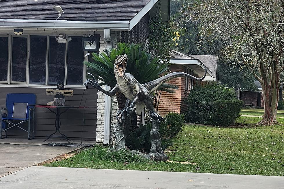 Velociraptor Statue in Lafayette, LA Brings Joy to Motorists