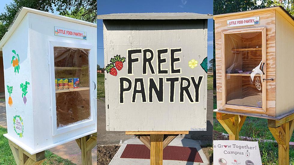 Here’s How You Can Get a ‘Little Free Pantry’ for your Community in Louisiana