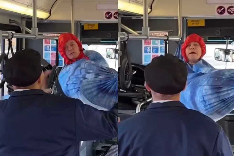 Video of The 'Hammock Guy' on Public Bus Goes Viral