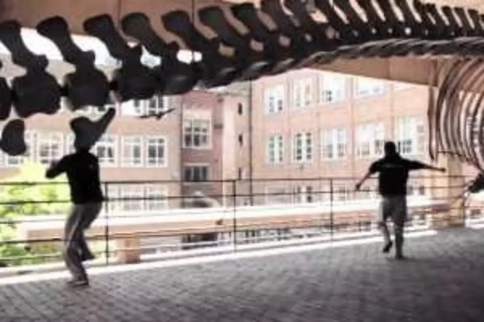 Watch Awesome Parkour in Cambridge