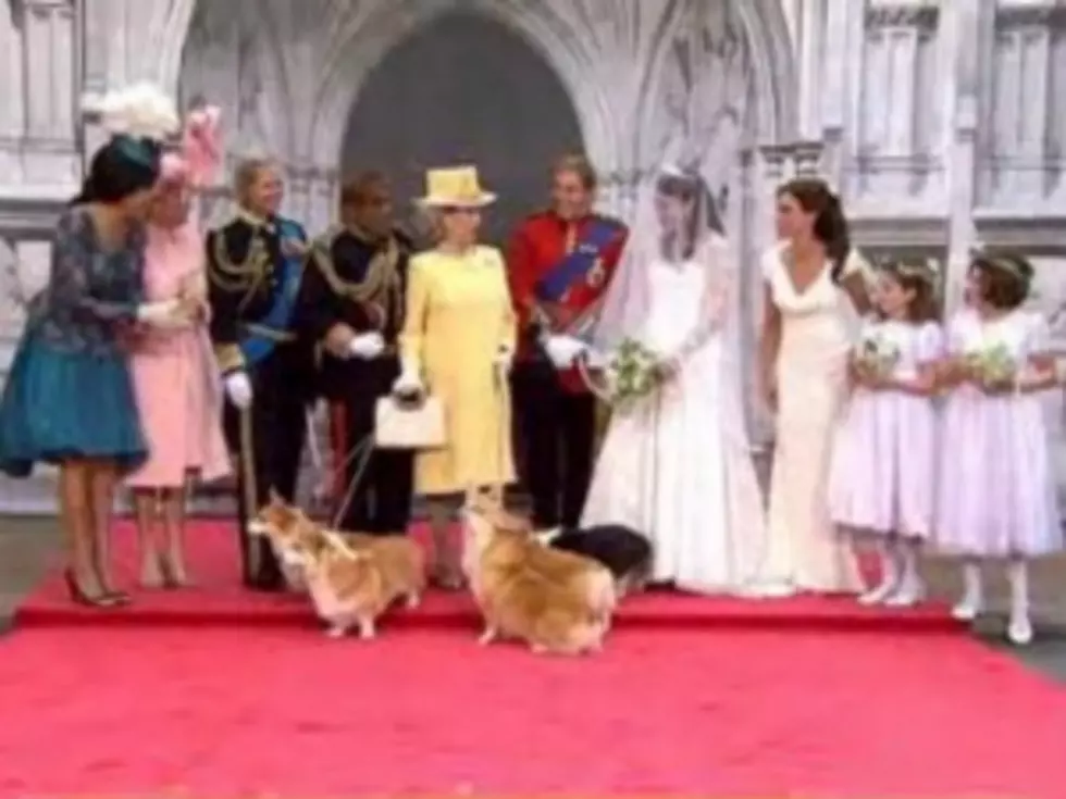 &#8216;Today&#8217; Crew Reenacts Lavish Royal Wedding for Halloween [VIDEO]