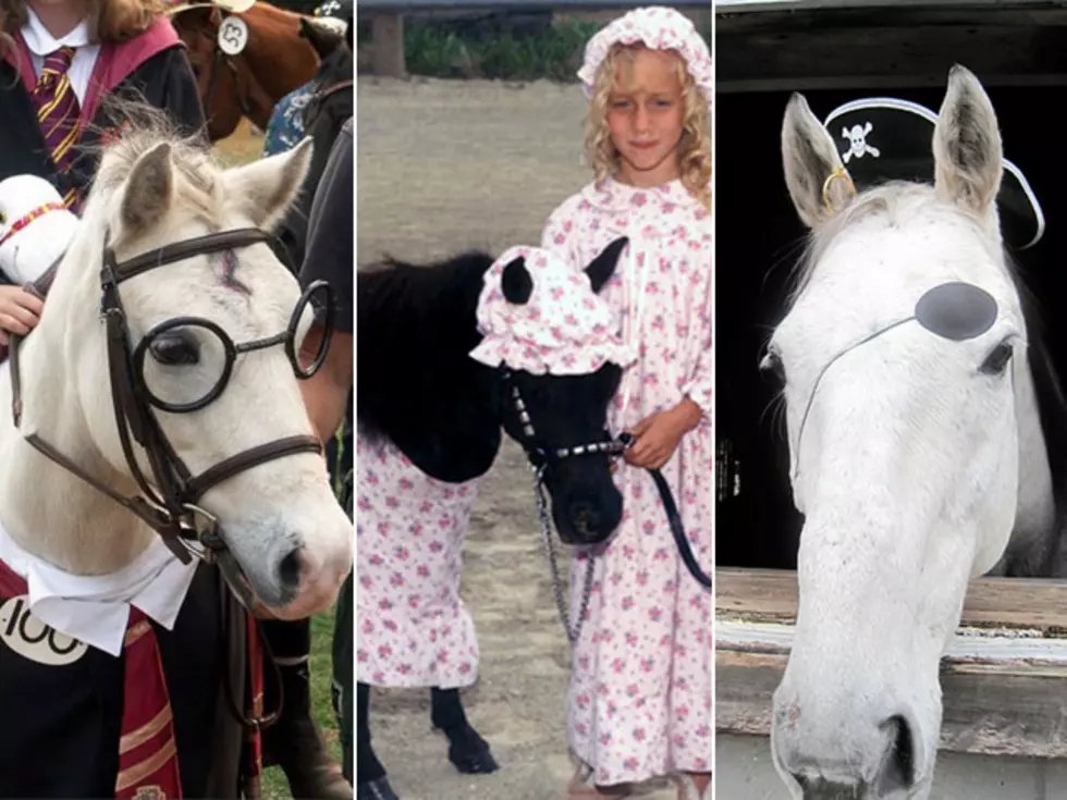 10 Halloween Costume Ideas for Your Horse