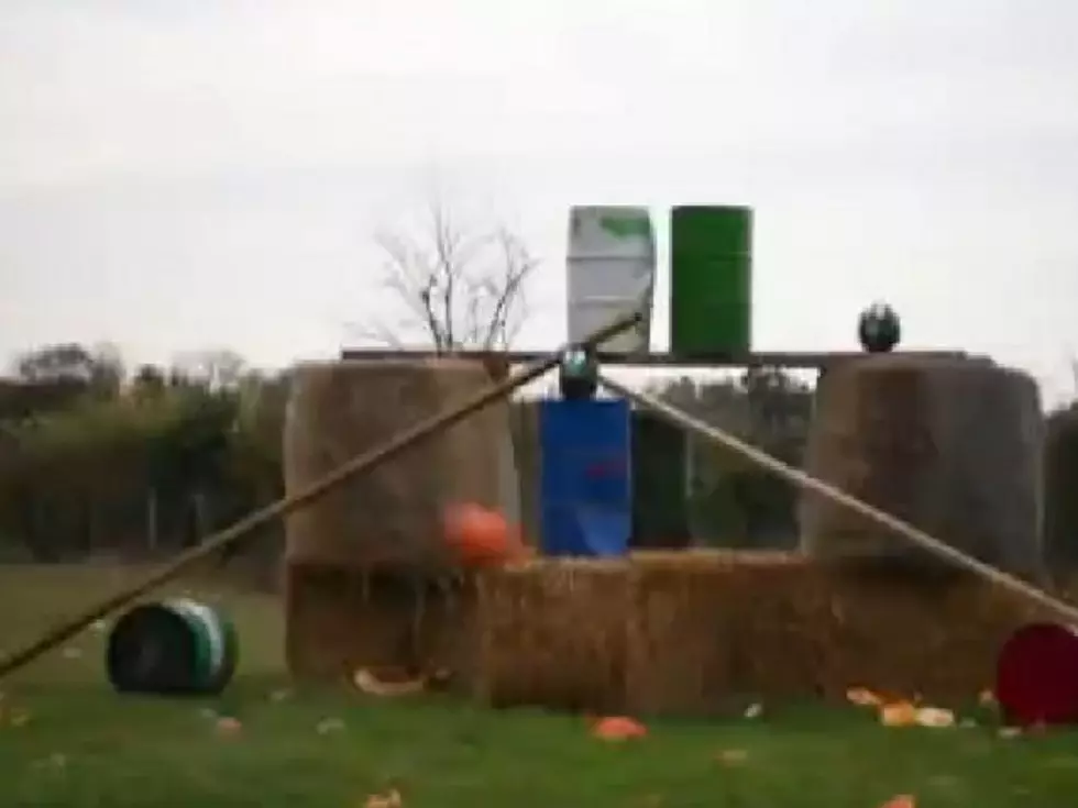 Real-Life Angry Birds Game Uses Canon to Blast Away Those Pigs