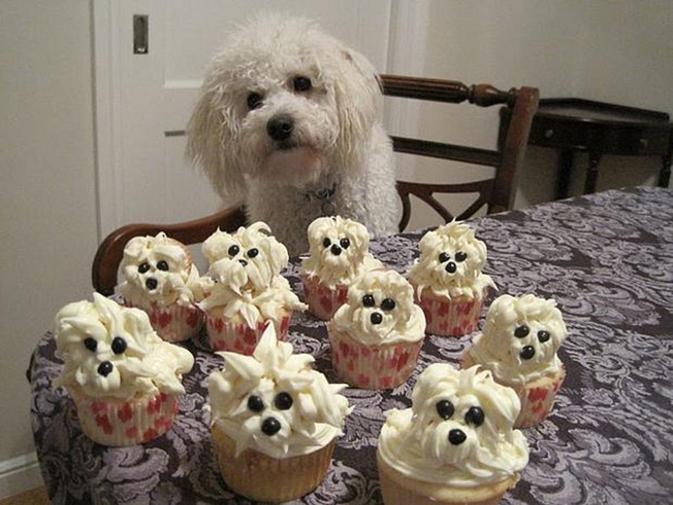 Cute Dog Meets Yummy Cupcakes Molded Into His Likeness [PHOTO]