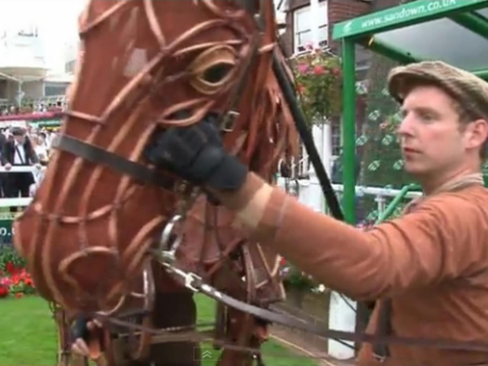 Watch the Amazing Lifelike Puppet From ‘War Horse’ in Action [VIDEO]
