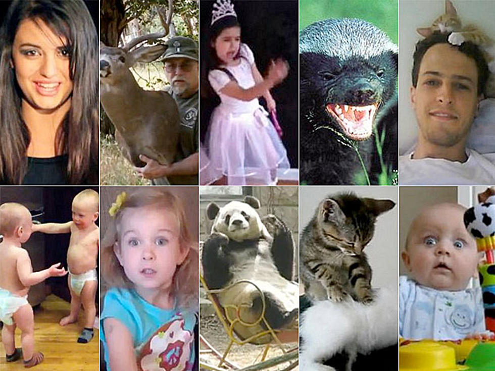 The Best Viral Videos of 2011 &#8212; Chosen by You!