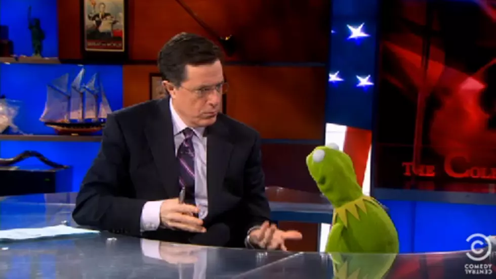 Kermit Serves As Political Analyst On The Colbert Report