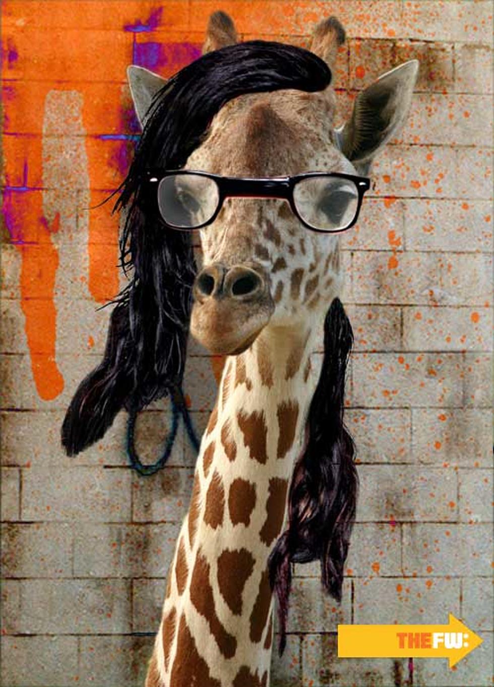 Animals With Skrillex Hair – Giraffe