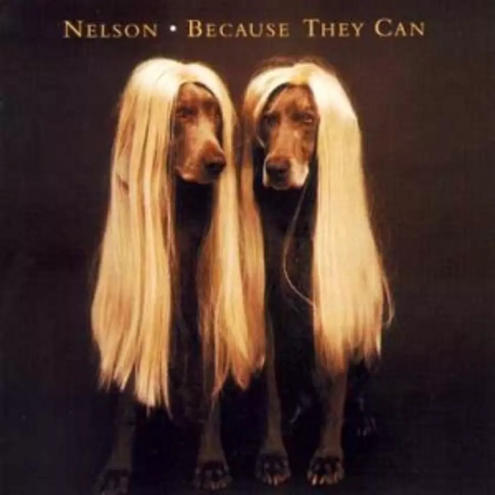 No. 27: Nelson &#8211; 50 Worst Album Covers