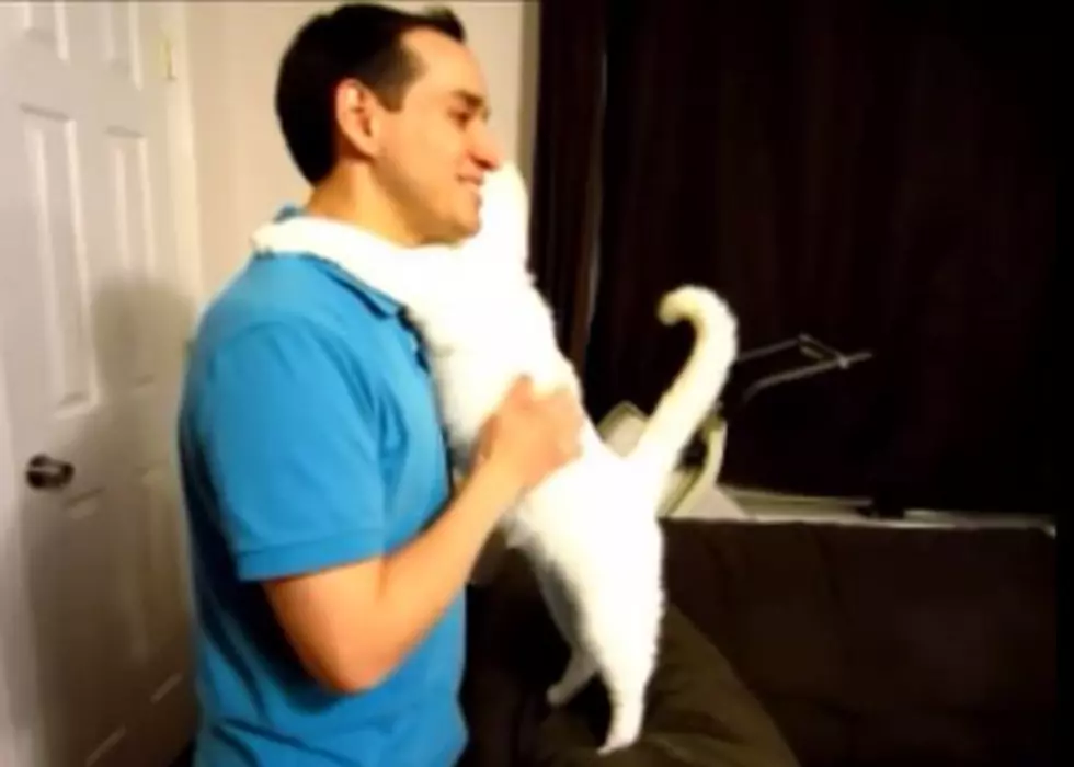 Game Changer! Man Teaches Cat to Hug
