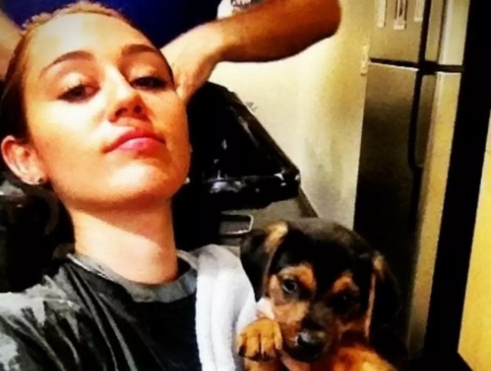 See Miley Cyrus&#8217; Adorable Adopted Puppy
