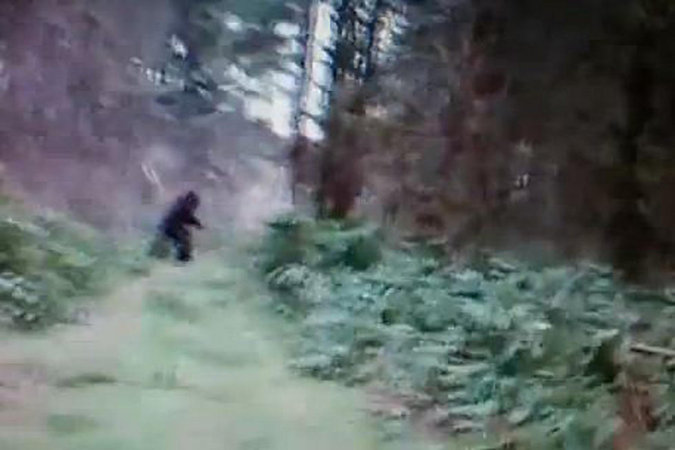 Has Bigfoot Been Spotted In Ohio?