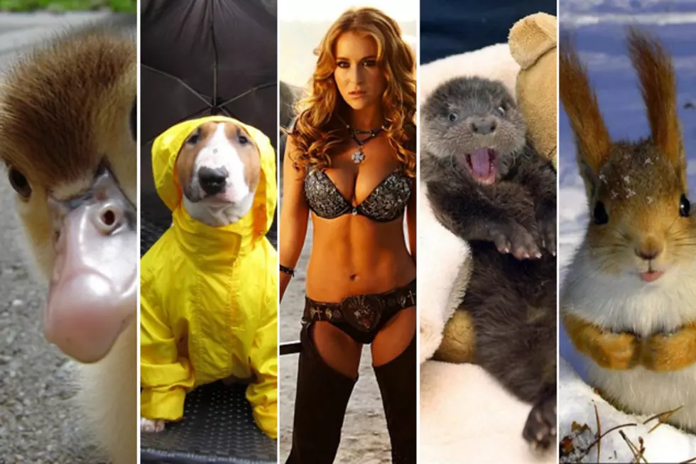 Best Photo Captions of the Week &#8211; Raincoat Dog, Alexa Vega and More