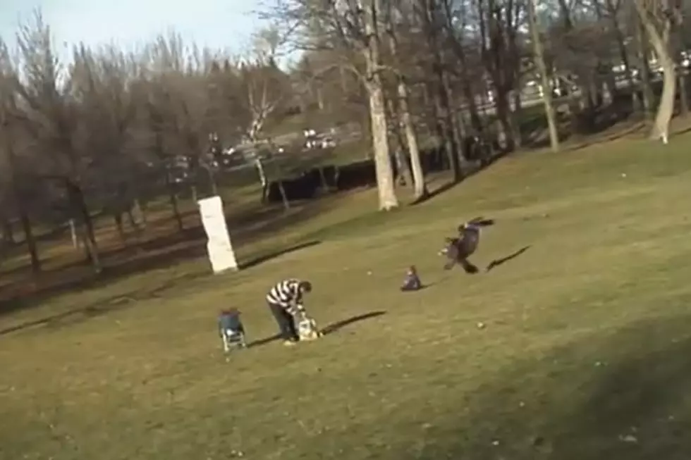 ‘Golden Eagle Snatches Kid’ Video Was a Hoax